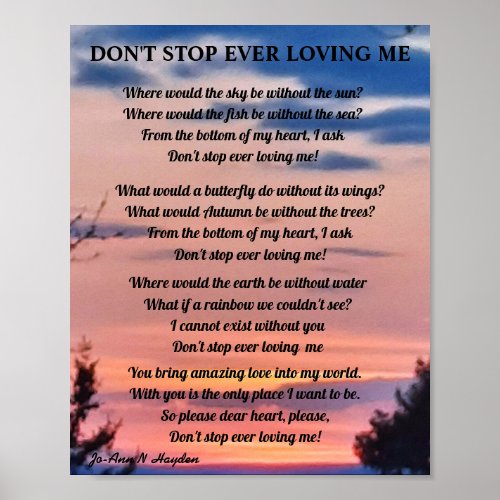 DONT STOP EVER LOVING ME  POSTER