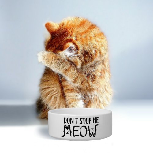 Dont Stop Me Meow  Fun Quote Black White Script Bowl