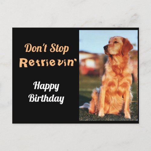 Dont Stop Retrievin Golden Retriever Birthday Postcard