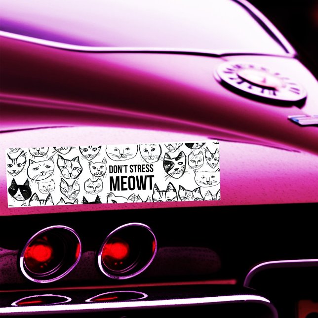 DONT STRESS MEOWT Funny Cats Bumper Sticker (DONT STRESS MEOWT Funny Cats Hand-drawn cat lady Bumper Sticker
)