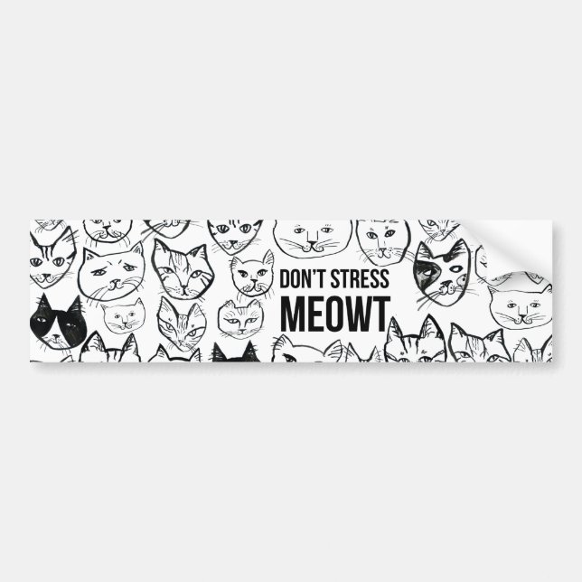 DONT STRESS MEOWT Funny Cats Bumper Sticker (Front)