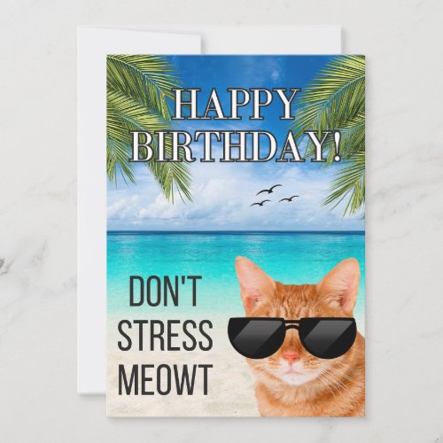 Dont Stress Meowt Funny Tabby Cat Happy Birthday