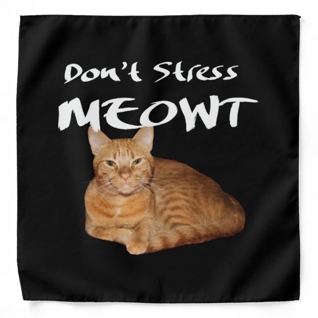 Don't Stress Meowt - Orange Cat Stress Me Out Bandana (Front)