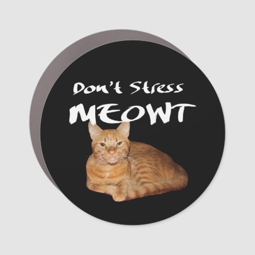 Dont Stress Meowt _ Orange Cat Stress Me Out Car Magnet