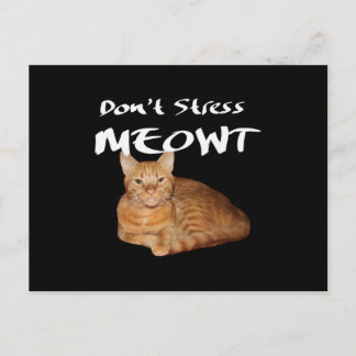 Don't Stress Meowt - Orange Cat Stress Me Out Postcard