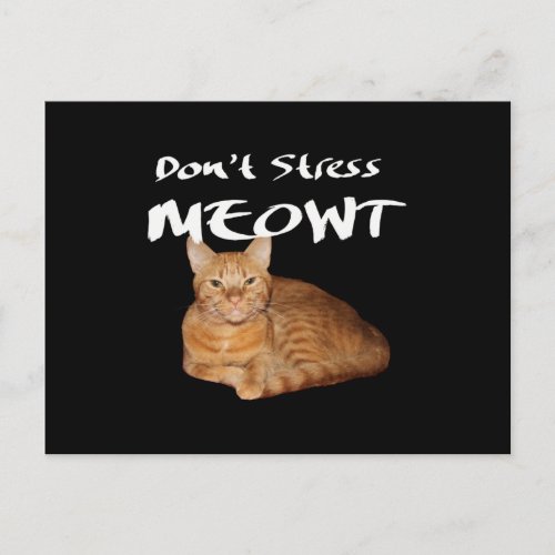 Dont Stress Meowt _ Orange Cat Stress Me Out Postcard