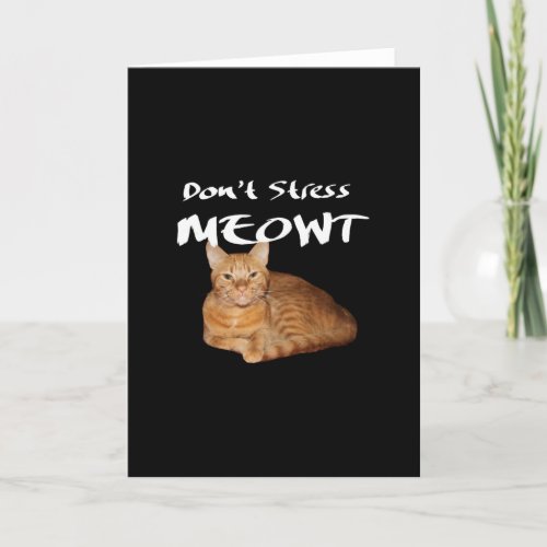 Dont Stress Meowt _ Orange Cat Stress Me Out Thank You Card