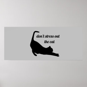 Don't Stress Out The Cat Funny Poster