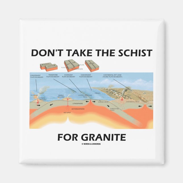 Don't Take The Schist For Granite (Geology Humor) Magnet (Front)