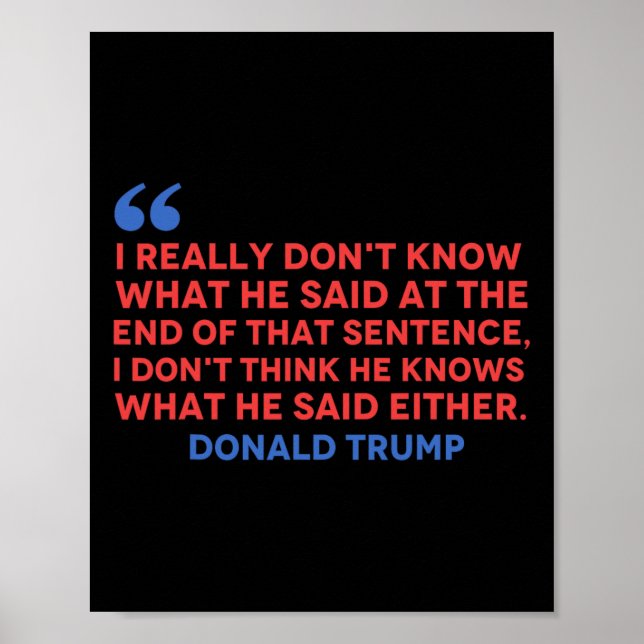 Don't Think He Knows What He Said Either Trump Quo Poster (Front)