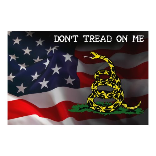 Dont Tread On Me Flag Photo Print