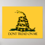 Dont Tread on Me Gadsden Flag Historical Military Poster