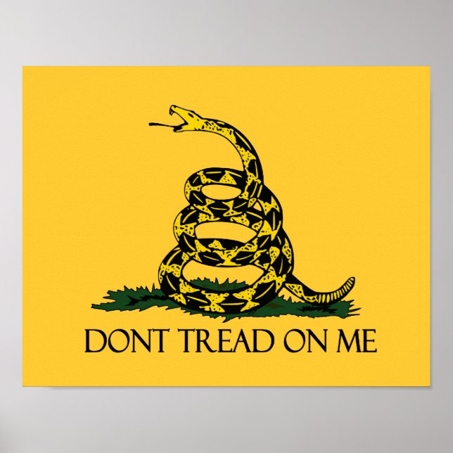 Dont Tread on Me Gadsden Flag Historical Military Poster (Front)