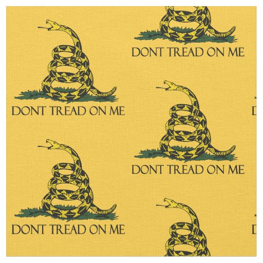 Meaning of the 'don't tread on me' flag as boy is kicked out of school for  displaying symbol