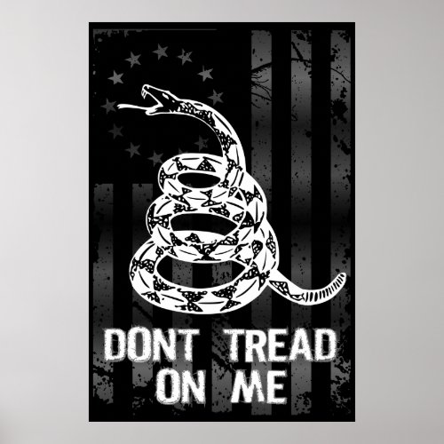 Dont Tread On Me II Large Poster