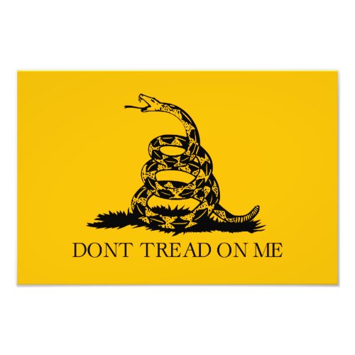 DONT TREAD ON ME Rattlesnake Snake Revolution Flag Photo Print