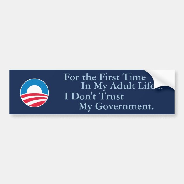 TRUST THE GOVERNMENT THEY NEVER LIE Novelty Bumper Sticker/Decal funny car 