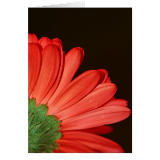 Don't turn your back on me (Front)