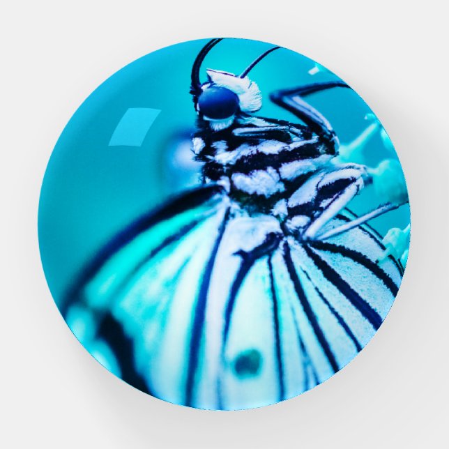 don't use paperweight (Front)