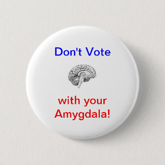 Don't Vote with your Amygdala! Pinback Button