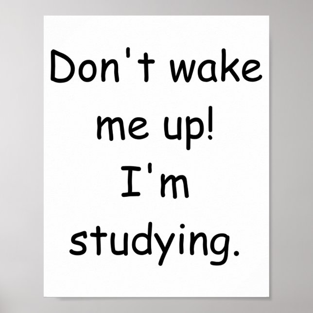 Dont Wake Me Up Im Studying  Poster (Front)