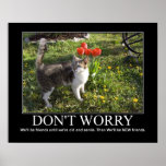 Don&#39;t Worry..cat Friendship Artwork Poster at Zazzle