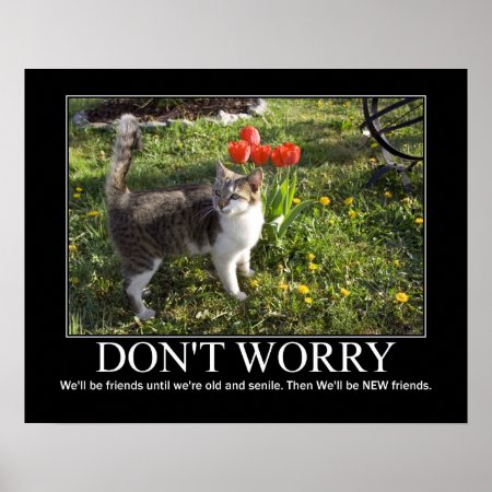 Don't Worry..cat Friendship Artwork Poster