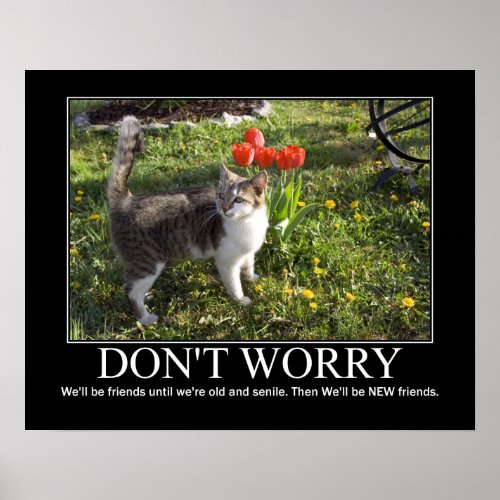 Dont WorryCat Friendship Artwork Poster