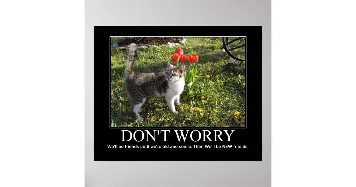 Don't Worry..Cat Friendship Artwork Poster | Zazzle