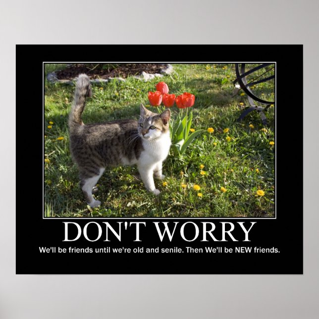 Don't Worry..Cat Friendship Artwork Poster (Front)