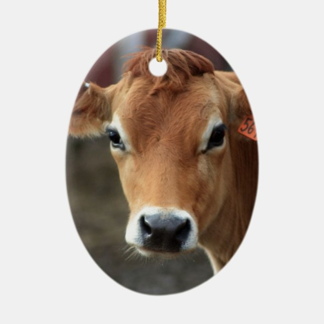 Don't you think I'm Pretty Jersey Cow Ceramic Ornament (Front)