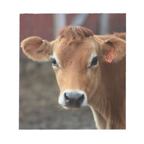 Dont you think Im Pretty Jersey Cow Notepad