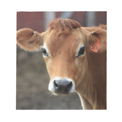 Dont you think Im Pretty Jersey Cow Notepad