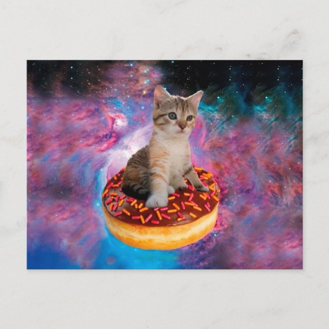 Donut Cat - Donut lover Postcard (Front)