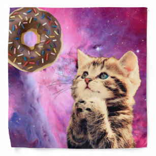 Meme Pet Clothes & Accessories