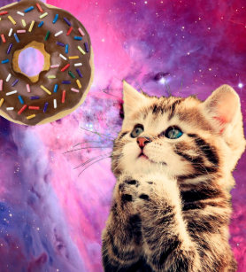 personalize your own cat