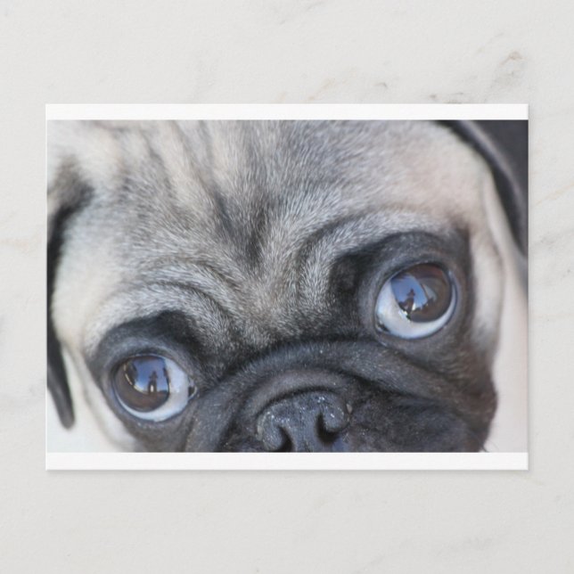 Doobie's Eyes Postcard (Front)