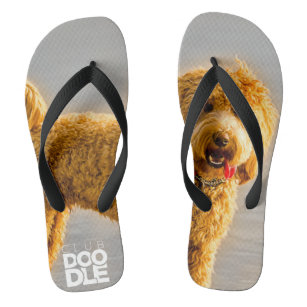 dog flip flops