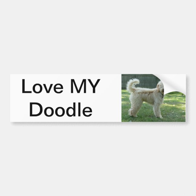 Doodle Bumper Sticker (Front)