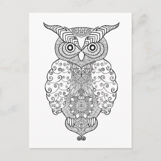 Doodle Owl Postcard (Front)