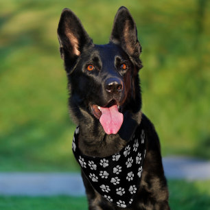 Doodle Paws, Dog Paws, White Paws Pet Bandana Collar