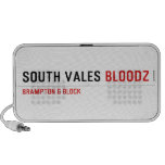 South Vales  Doodle Speakers