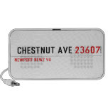  Chestnut Ave  Doodle Speakers