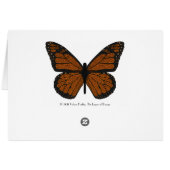 Doodled Monarch Card (Back Horizontal)