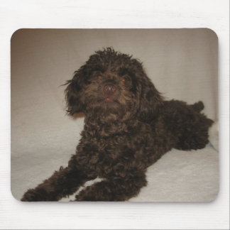 doogy mousepad