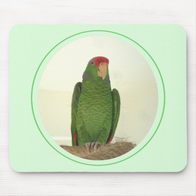 Dooley 1 mouse pad (Front)