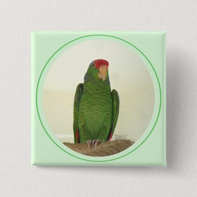 Dooley 1 pinback button (Front)