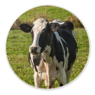 Door handle, cow photo ceramic knob