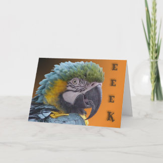 Doorbell Card