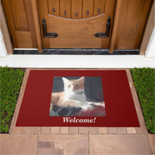Doormat ginger kitten welcome